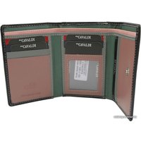 Портмоне Cedar 4U Cavaldi RD-17-GCL (морской)