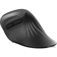 Вертикальная мышь Trust Verro Ergonomic Wireless Mouse