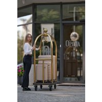 Чемодан-спиннер Solier STL1064 (S, золотой)