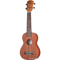 Укулеле Ramis RS-01