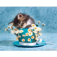 Алмазная мозаика  Darvish Сладкий сон DV-9512-14