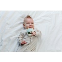 Прорезыватель Roxy Kids Крабик RST-002-G