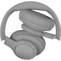 Наушники SVEN AP-B800MV (серый)