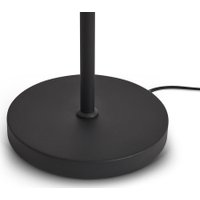 Торшер Freya Aqua FR5553FL-L20B