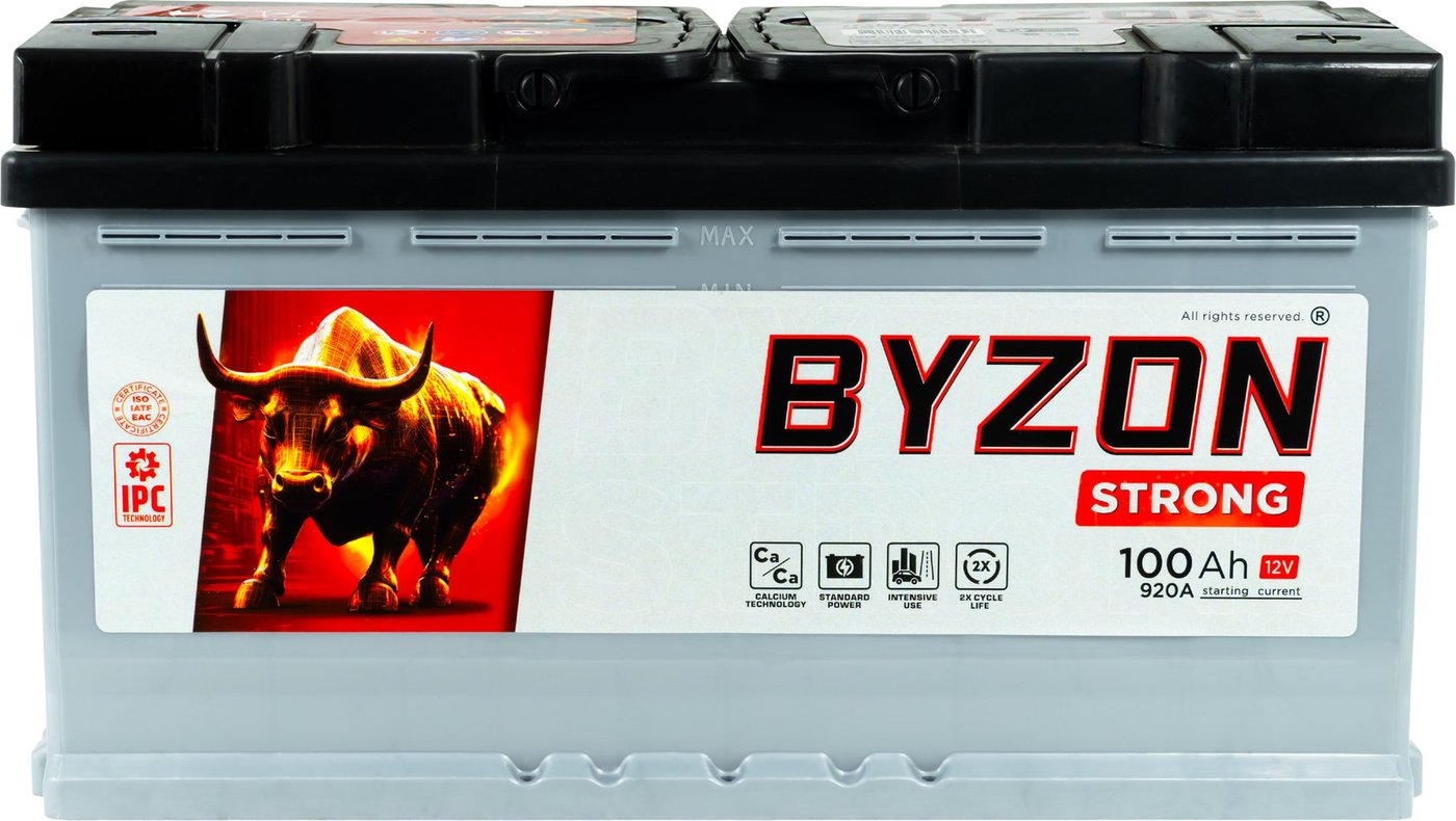 

Автомобильный аккумулятор BYZON R+ (100 А·ч)