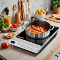 Настольная плита Endever Skyline DP-71