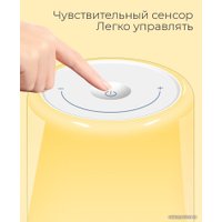 Ночник Evolution T1