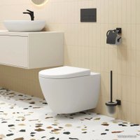 Сиденье для унитаза Ambassador Queen 112T20101 (белый матовый)