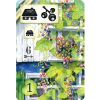 Настольная игра Мир Хобби Поляна