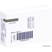 Акварельные краски Winsor & Newton Professional 102217 (5 мл, серый дэйвис)