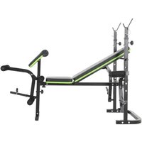 Силовая скамья DDS Amalfi B-1 (черный/зеленый) в Борисове