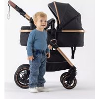 Универсальная коляска Rant Basic Roller Gold RA161 (2 в 1, black)