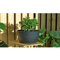 Вазон Multy Home Octavia EU5100290 (серый)