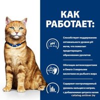 Сухой корм для кошек Hill's Prescription Diet c/d Multicare Urinary Care при профилактике мочекаменной болезни, с курицей 3 кг