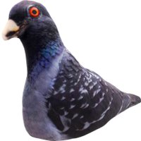 Декоративная подушка Мальвина Голубь Злодей 3.16.3