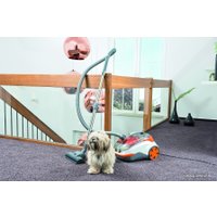 Пылесос Thomas DryBOX+AquaBOX CAT & DOG 786554