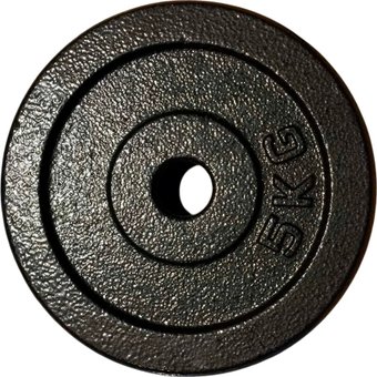 Диск ZEZ Sport DK-5 (окрашенный)