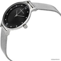 Наручные часы Skagen SKW2473