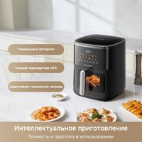Аэрогриль (аэрофритюрница) Trouver Air Fryer FD10 Pro Max (черный)