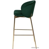 Стул Bergenson Bjorn Coral BEBA-CO10888 (темно-зеленый)
