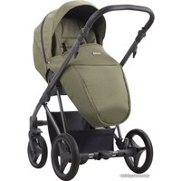 Универсальная коляска BEBETTO Flavio (2 в 1, 03)