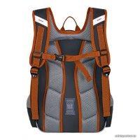 Школьный рюкзак ACROSS ACR22-179-1