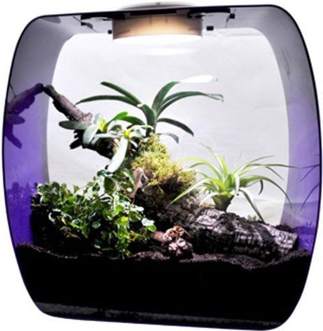 

Террариум Lucky Reptile Life Box LB-35P (фиолетовый)