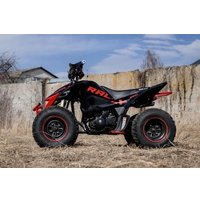 Квадроцикл Motoland Rally 250 (черный/красный)