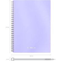 Общая тетрадь Erich Krause Candy 80 л клетка 54166