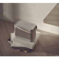 Беспроводная колонка Bang & Olufsen Beolit 20 (серый)
