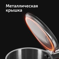 Электрический чайник RED Solution AM101 в Бресте