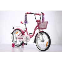 Детский велосипед Delta Butterfly 2007 20 (розовый)