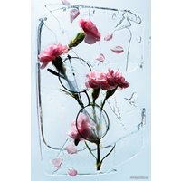 Книга издательства Эксмо. Легендарные фотографии, изменившие мир (Джакоза Маргарита/Моттаделли Роберто/Морелли Джанни)