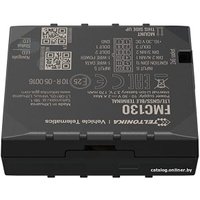 Автомобильный GPS-трекер Teltonika FMC130 в Витебске