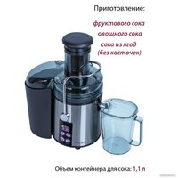 Соковыжималка Pioneer JC2070