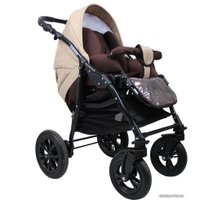 Универсальная коляска Smile Line Serenade 20 (2 в 1, Se 25)