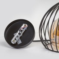 Подвесная люстра Imex MD.3959-1-P BK в Борисове