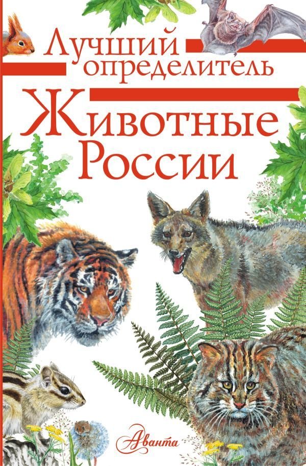 

АСТ. Животные России. Определитель (Волцит Петр Михайлович/Целлариус Е.Ю.)