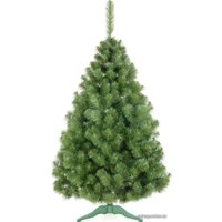 Сосна Erbis Сибирская 2.2 м