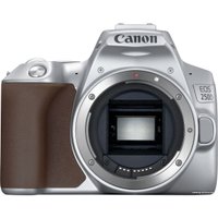 Зеркальный фотоаппарат Canon EOS 250D Kit 18-55 IS STM (серебристый)