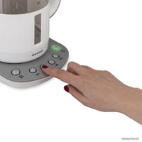 Электрический чайник Endever Skyline KR-364G