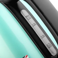 Электрический чайник Brayer BR1005GN