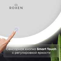  Roxen Зеркало Gotem Long 510165-100AF 100x70 в Лиде