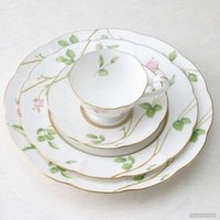 Тарелка обеденная Narumi Цветущая Роза NAR-51220-1120