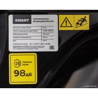 Газонокосилка Gigant PLM-04
