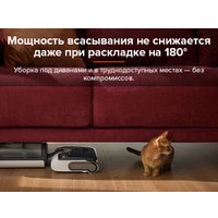 Вертикальный моющий пылесос Roborock Wet And Dry Vacuum Cleaner F25 WD5M1A (черный)