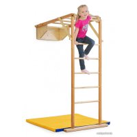 Детский спортивный комплекс Kidwood Жираф