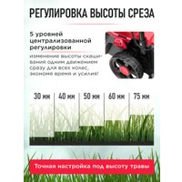 Газонокосилка Wortex CLM 3336 ALL1 (без АКБ)