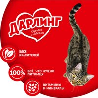 Пресервы Дарлинг с лососем в подливе (26 х 75 г)