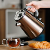 Электрический чайник Evolution KP17153 Steel